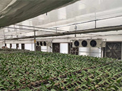大棚采暖工程解决方案